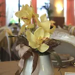 Hotel Donatella Pinarella