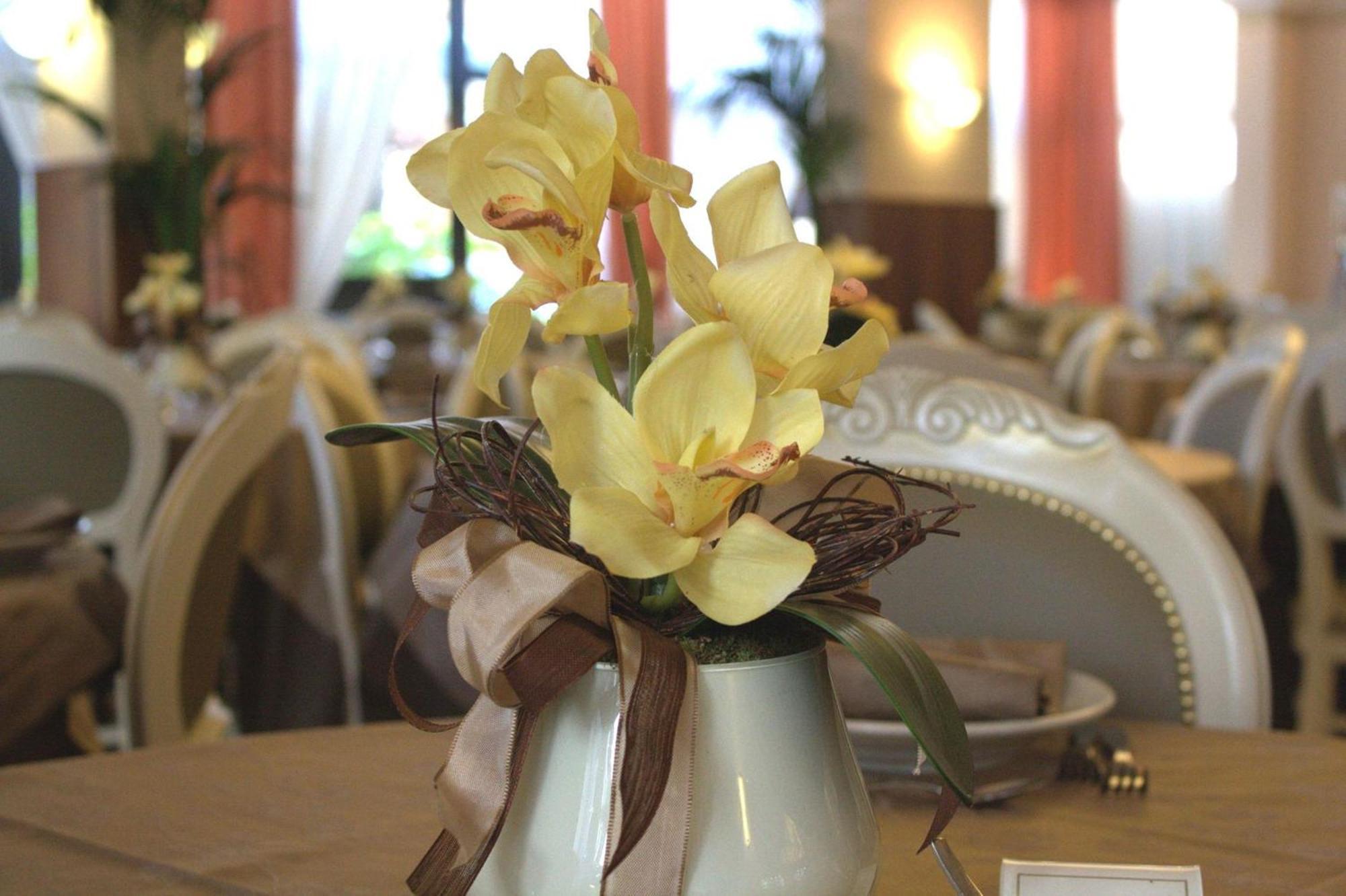Hotel Donatella Pinarella Cervia